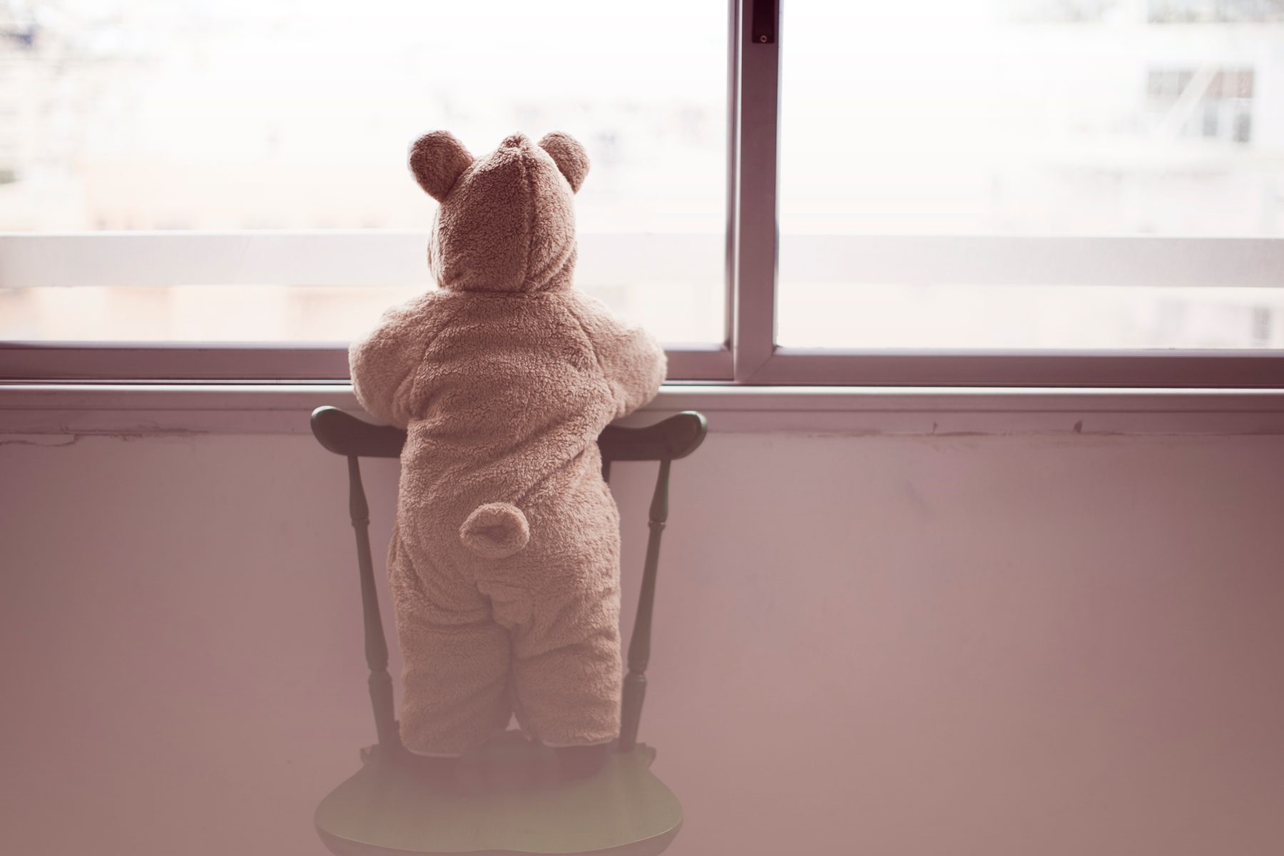 Teddybär auf einem Stuhl, der aus dem Fenster schaut