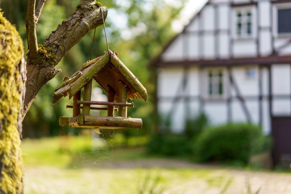 Selbstgebautes Vogelhaus an einem Ast, im Hintergrund ein Fachwerkhaus
